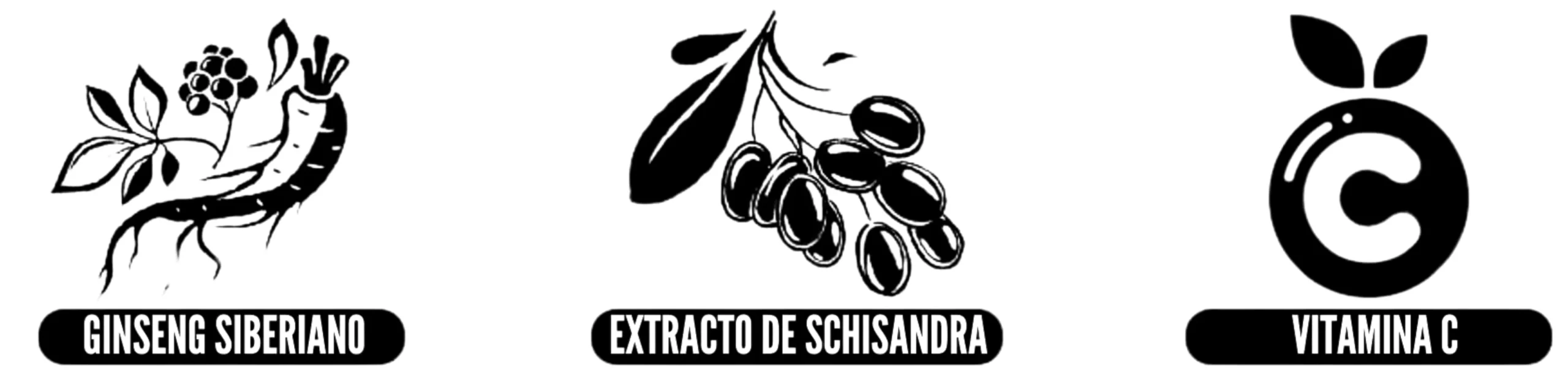 Composición suplemento inmunológico inmune booster